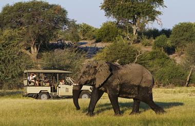Day and Night Game Drives via open Land Cruisers.  Depending on the water level of the Boteti, boat activities can also be provided.  